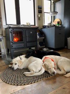 Three dogs relaxing in front of Ironheart cook stove